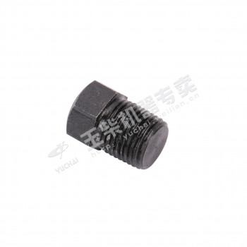 Заглушка резьбовая NPT1/8 Yuchai YC6J220-50 /Артикул: Q618B01