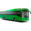 VOLGABUS Серпантин (D, G) (120)