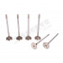 Клапан выпускной Yuchai YC6L310-50 /Артикул: L3000-1007012B Клапан выпускной Yuchai YC6L310-50 /Артикул: L3000-1007012B