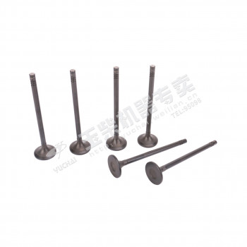 Клапан выпускной Yuchai YC6L280N-52 /Артикул: LN100-1003103B Клапан выпускной Yuchai YC6L280N-52 /Артикул: LN100-1003103B