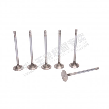 Клапан впускной Yuchai YC6L280N-52 /Артикул: LN100-1003111B Клапан впускной Yuchai YC6L280N-52 /Артикул: LN100-1003111B
