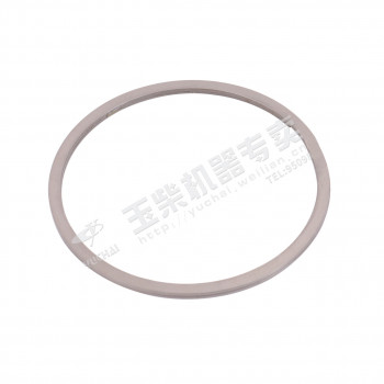 Кольцо уплотнительное выпускного коллектора Yuchai YC6J220-50 /Артикул: J5600-1008223A