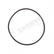 Кольцо уплотнительное ТНВД (3.2х100 mm) YUCHAI YC6L310-50 Кольцо уплотнительное ТНВД (3.2х100 mm) YUCHAI YC6L310-50