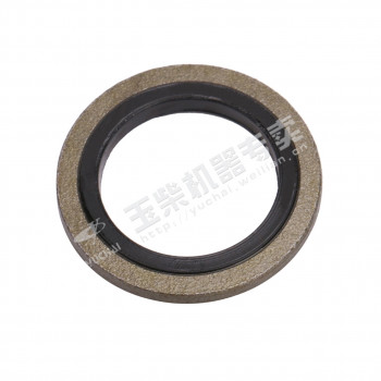 Кольцо уплотнительное топливной системы Yuchai YC6J220-50 (M16) /Артикул: Q/YC149-16 Кольцо уплотнительное топливной системы Yuchai YC6J220-50 (M16) /Артикул: Q/YC149-16