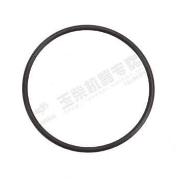 Кольцо уплотнительное ТНВД Yuchai YC6J220-50 (56х2,65) /Артикул: YC208-B05600F